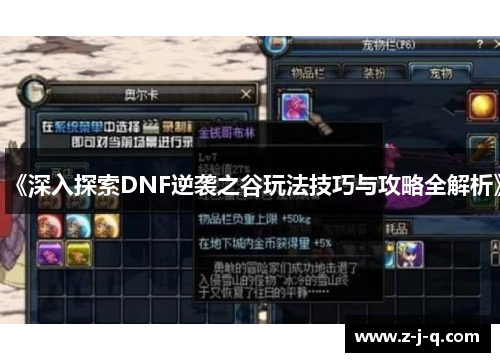 《深入探索DNF逆袭之谷玩法技巧与攻略全解析》